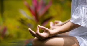 सरकार की लापरवाही की भेट चढ़ता – जोशीमठ का योगध्यान सेंटर 4 Hello Uttarakhand News »