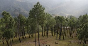 आखिर कब मिलेगा उत्तराखंड को 4 हजार करोड़ का ग्रीन बोनस 4 Hello Uttarakhand News »