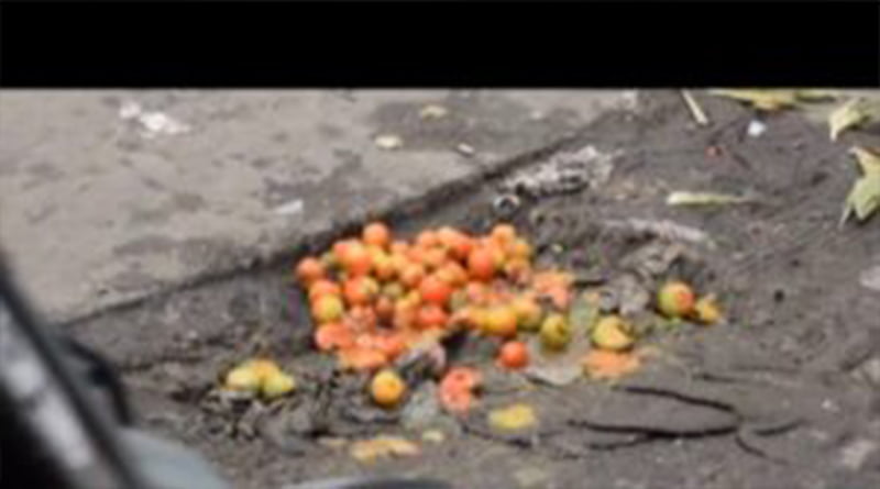 एक तरफ आसमां छूती टमाटरों की कीमतें और दूसरी तरफ कुछ यूँ हो रही है बेकदरी 3 Hello Uttarakhand News »