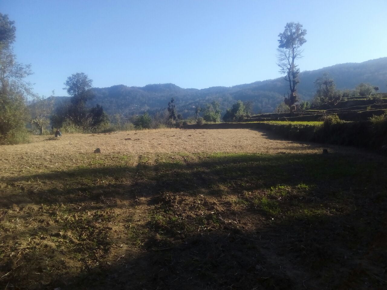 हेलीपैड निर्माण मामला, शासन की अनदेखी या फिर है मिलीभगत! 2 Hello Uttarakhand News »