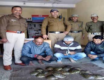 पुलिस ने किया जिन्दा कछुओं के साथ तीन युवकों को गिरफ्तार 5 Hello Uttarakhand News »