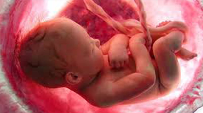 उत्तराखंड: गर्भ में पल रहा शिशु भी होगा कर्ज के बोझ तले 3 Hello Uttarakhand News »