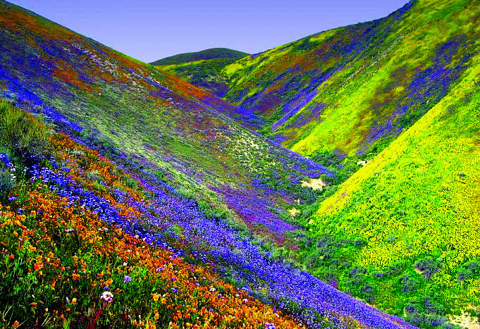 किसी स्वर्ग से कम नहीं उत्तराखंड के ये बुग्याल……. 1 किसी स्वर्ग से कम नहीं उत्तराखंड के ये बुग्याल……. 1 Hello Uttarakhand News »