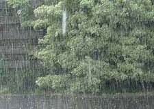 कल सभी सरकारी व प्राइवेट स्कूल रहेंगे बंद 4 Hello Uttarakhand News »