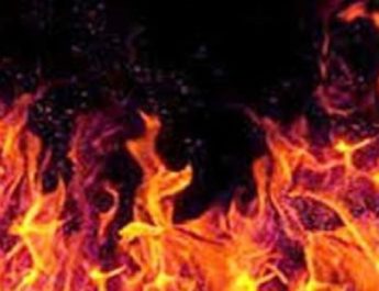 गौशाला में आग लगने से 46 मवेशियों की दर्दनाक मौत 4 Hello Uttarakhand News »