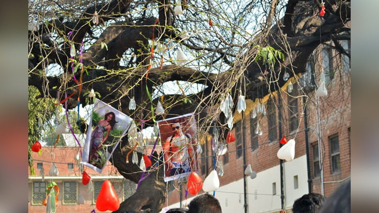 प्यार के त्यौहार में दिखेगा 'वर्जिन ट्री' का अद्भुत नजारा 2 Hello Uttarakhand News »