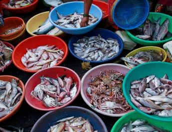 पलटन बाजार से गायब हो जाएगा मच्छी बाजार ! 2 Hello Uttarakhand News »