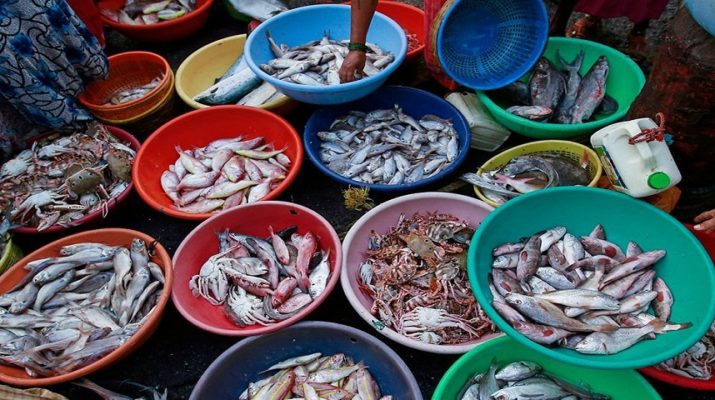 पलटन बाजार से गायब हो जाएगा मच्छी बाजार ! 1 पलटन बाजार से गायब हो जाएगा मच्छी बाजार ! 1 Hello Uttarakhand News »