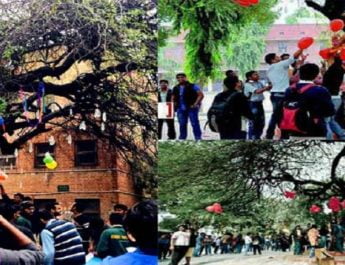 प्यार के त्यौहार में दिखेगा 'वर्जिन ट्री' का अद्भुत नजारा 3 Hello Uttarakhand News »