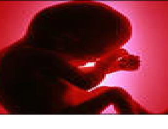 रंग लाई 'बेटी बचाओ बेटी पढ़ाओ' मुहिम, देवभूमि में बढ़ा बेटियों का ग्राफ 2 Hello Uttarakhand News »