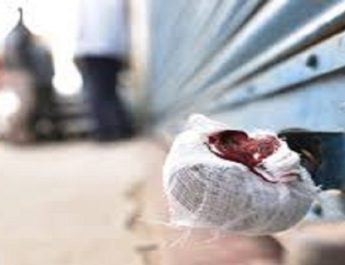 व्यापारियों ने जड़ा सात लाख दुकानों में ताला 4 Hello Uttarakhand News »