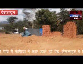 जोड़ी गांव में हरे पेड़ काटने के मामले में डीएम व एमडीडीए उपाध्यक्ष ने लिया संज्ञान 2 Hello Uttarakhand News »