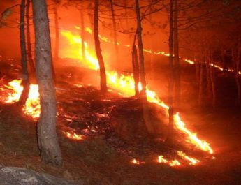 एसी की ठंडक में जंगलों की आग का ताप भूली सरकार 3 Hello Uttarakhand News »