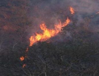 जंगल की आग ने कराई बिजली महकमें की परेड, यमुनोत्री के मुख्य पड़ावों पर आठ घण्टो से बत्ती गुल 4 Hello Uttarakhand News »