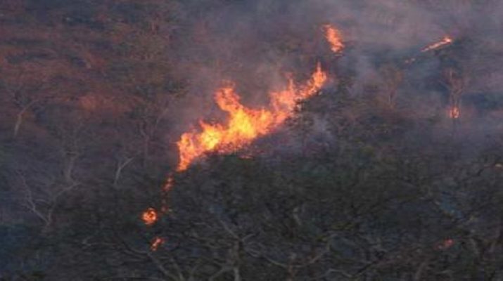 जंगल की आग ने कराई बिजली महकमें की परेड, यमुनोत्री के मुख्य पड़ावों पर आठ घण्टो से बत्ती गुल 1 जंगल की आग ने कराई बिजली महकमें की परेड, यमुनोत्री के मुख्य पड़ावों पर आठ घण्टो से बत्ती गुल 1 Hello Uttarakhand News »