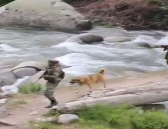 दो आतंकियों को मौत के घाट उतार देवभूमि का लाल हुआ शहीद 3 Hello Uttarakhand News »