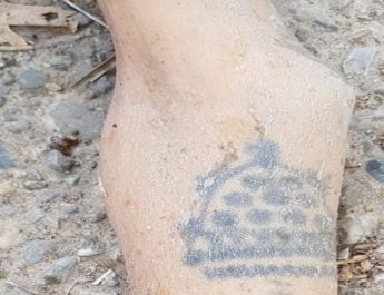 नाले मेंं मिला अज्ञात महिला का शव, जांच में जुटी पुलिस 2 Hello Uttarakhand News »