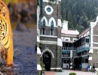 कोर्ट ने मुख्य सचिव को कहा 24 घंटे में दाखिल करें शपथ पत्र 4 Hello Uttarakhand News »