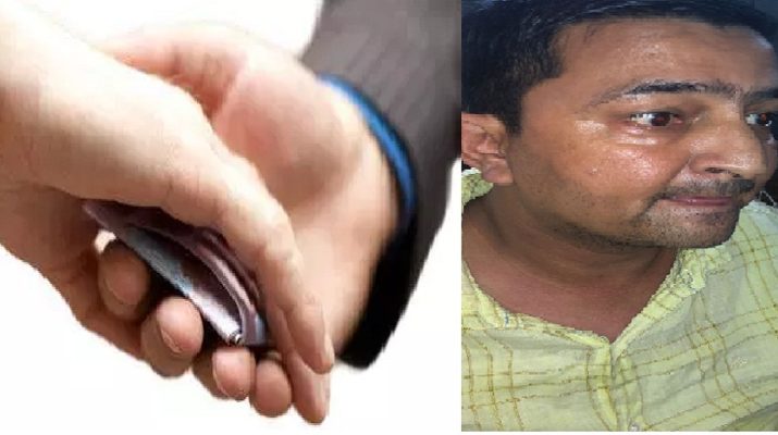 मंडी निरीक्षक 8,000 की रिश्वत लेते रंगे हाथों गिरफ्तार 1 Hello Uttarakhand News »