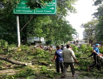 दून शहर के बीचों बीच बाइक सवार के ऊपर गिरा पेड़ 3 Hello Uttarakhand News »