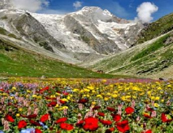 हेमकुण्ड साहिब की व्यवस्थाओं का जायजा लेने के बाद आज फूलों की घाटी जायेंगे सीएस 2 Hello Uttarakhand News »