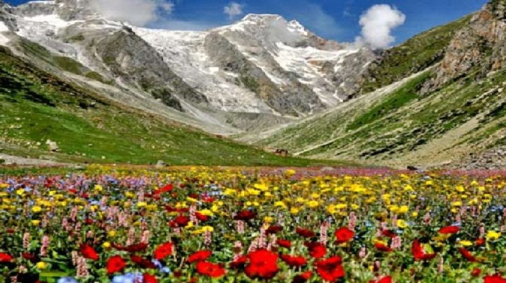 हेमकुण्ड साहिब की व्यवस्थाओं का जायजा लेने के बाद आज फूलों की घाटी जायेंगे सीएस 1 Hello Uttarakhand News »