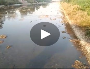 28 अक्टूबर को चलेगा 'हर गंगे महा सफाई अभियान' 4 Hello Uttarakhand News »