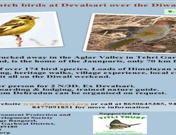 देवलसारी में प्रकृति प्रेमियों के लिए पक्षी अवलोकन का हो रहा आयोजन 4 Hello Uttarakhand News »
