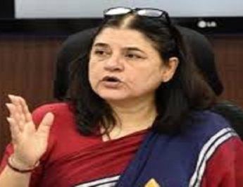 थम नहीं रहा अवनि बाघिन के मारे का मामला, मेनका गांधी ने कहा वन मंत्री को बर्खास्त करे सरकार 2 Hello Uttarakhand News »