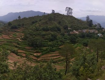 गाँव में सड़क की मांग को लेकर पीएम मोदी से लगाई गुहार, शासन-प्रशासन पर ढुलमुल रवैये का आरोप 2 Hello Uttarakhand News »