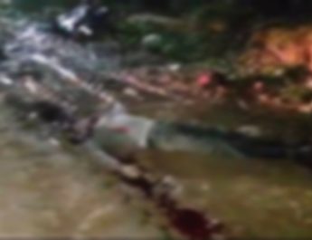 देहरादून: खम्बे से टकराई तेज रफ्तार बाइक, युवक का सिर धड़ से अलग 4 Hello Uttarakhand News »