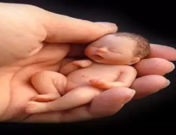 शर्मनाक: नैनिताल में नहर में पड़ा मिला भ्रूण, मचा हड़कंप 4 Hello Uttarakhand News »