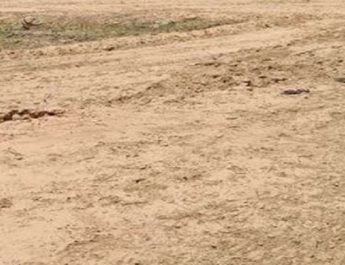 वन विभाग और ग्राम समाज की जमीनें की जा रही खुर्द-बुर्द 3 Hello Uttarakhand News »