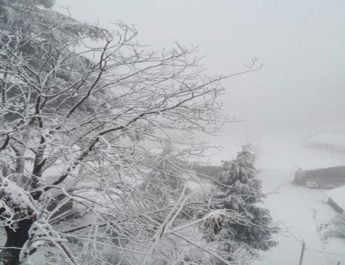 उत्तराखंड: पहाड़ों में हिमपात, मैदानों में बारिश 2 Hello Uttarakhand News »