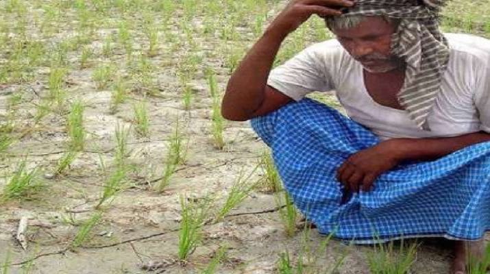 कर्ज में डूबे किसान ने लौटाए पीएम सम्मान निधि के 2000, खुद के लिए मांगी मौत 1 Hello Uttarakhand News »