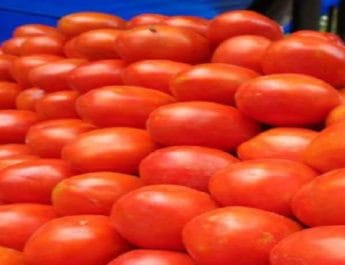 150 रुपए किलो तक पहुंचे कराची में टमाटर, भारत ने फिर शुरू की सप्लाई 4 Hello Uttarakhand News »