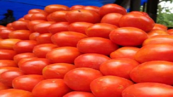 150 रुपए किलो तक पहुंचे कराची में टमाटर, भारत ने फिर शुरू की सप्लाई 1 150 रुपए किलो तक पहुंचे कराची में टमाटर, भारत ने फिर शुरू की सप्लाई 1 Hello Uttarakhand News »