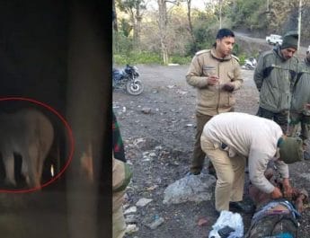 नीलकंठ यात्रियों के दल पर हाथी ने किया हमला, युवक को हाथी ने उतारा मौत के घाट 5 Hello Uttarakhand News »