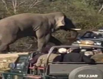 जंगल सफारी के लिए गए पर्यटकों पर हाथी का हमला 3 Hello Uttarakhand News »