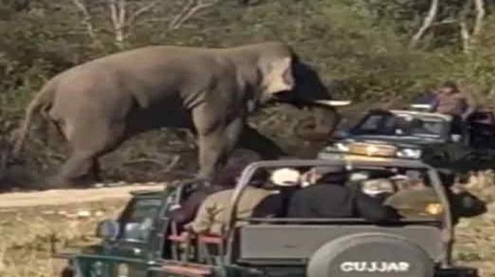 जंगल सफारी के लिए गए पर्यटकों पर हाथी का हमला 1 जंगल सफारी के लिए गए पर्यटकों पर हाथी का हमला 1 Hello Uttarakhand News »