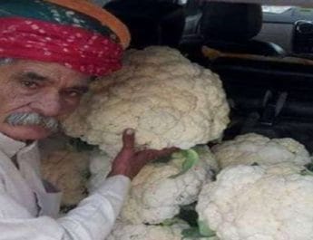 86 किलो का कद्दू और 25 किलो की गोभी उगाने वाले को राष्ट्रपति ने प्रदान किया पद्मश्री 5 Hello Uttarakhand News »