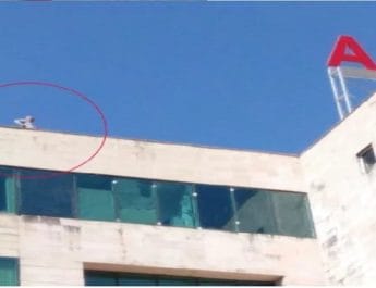 पेट्रोल की बोतल लेकर एम्स की छत पर चढ़ा कर्मचारी, मचा हडकंप 4 Hello Uttarakhand News »