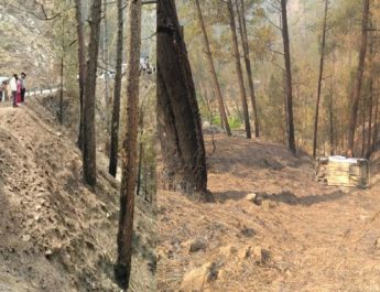 उत्तराखंड: वापस लौट रही बरात की कार दुर्घटनाग्रस्त, दूल्हे के पिता की मौत, 4 घायल 4 Hello Uttarakhand News »