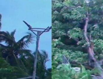 फानी तूफान की चपेट में ओडिशा, पुरी में 245 किमी की रफ्तार से चल रही आंधी 3 Hello Uttarakhand News »