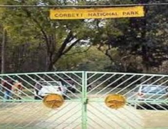 काॅर्बेट नेशनल पार्क में बाघिन की मौत , काॅर्बेट प्रशासन मामले को रफा-दफा करने में जुटा 3 Hello Uttarakhand News »