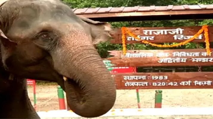 उत्‍तराखंड सरकार को सुप्रीमकोर्ट का नोटिस, राजाजी नेशनल पार्क में सड़क निर्माण पर रोक 1 Hello Uttarakhand News »