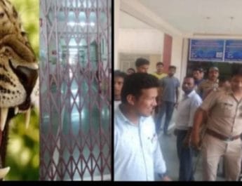 उत्तराखंड के इस मेडिकल कॉलेज में अचानक घुस गया गुलदार,मचा हड़कंप 2 Hello Uttarakhand News »