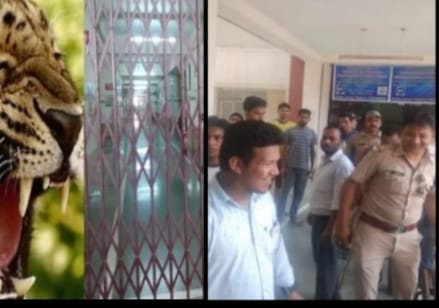 उत्तराखंड के इस मेडिकल कॉलेज में अचानक घुस गया गुलदार,मचा हड़कंप 1 उत्तराखंड के इस मेडिकल कॉलेज में अचानक घुस गया गुलदार,मचा हड़कंप 1 Hello Uttarakhand News »