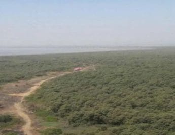 बुलेट ट्रेन स्टेशन के डिजाइन की हुई समीक्षा, अब 21 हजार मैनग्रोव कम कटेंगे 4 Hello Uttarakhand News &raquo;