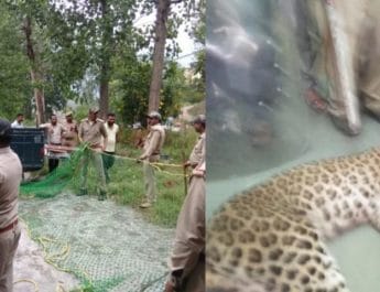 उत्तराखंड: मेडिकल कॉलेज में घुसा गुलदार आखिरकार दो दिन बाद ढेर 2 Hello Uttarakhand News »